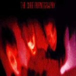Bell@tor Photo