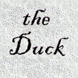 Duck Psycho Sexy Photo