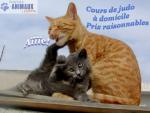 BOBPILOU Photo