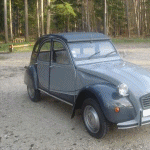 fifi 76 Photo