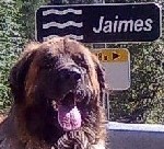 Jaime.R Photo