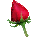 :rose: