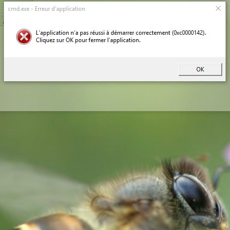 1447000739-cmd-exe-erreur-d-application.