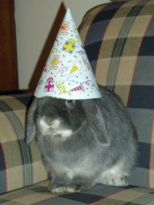 birthday%20bunny.jpg