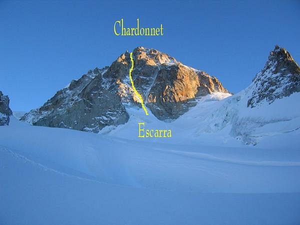 178376chardonnet.jpg