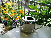 180px-Watering_can_P1080280.jpg