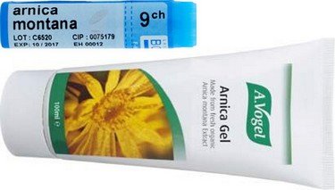 340375arnica.jpg