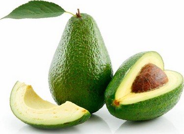 681670avocatfruit.jpg