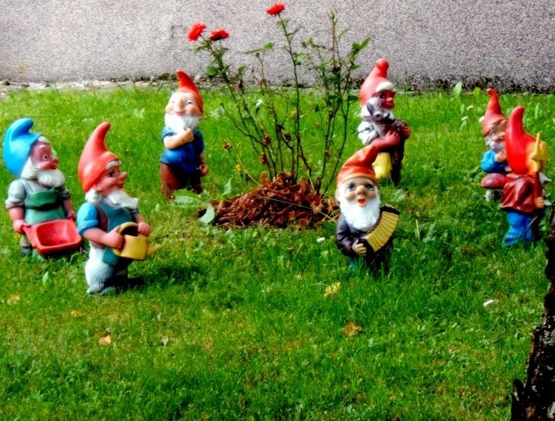 792px-7_garden_gnomes.jpg