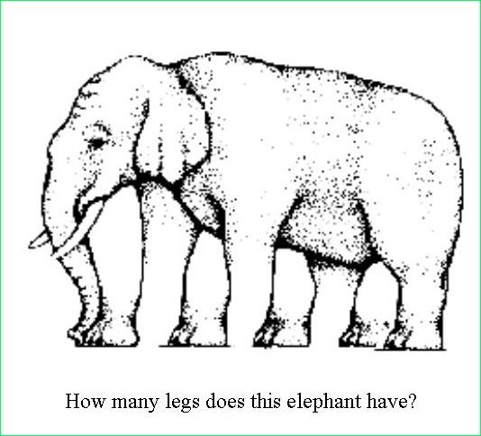 elephant-illusion.jpg