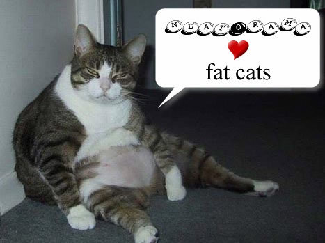 fat-cat.jpg