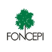 foncep10.jpg