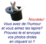 humour-participation-lapin.gif