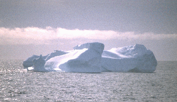 iceberg-logo.gif