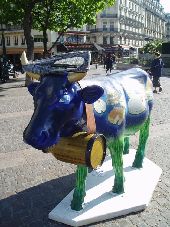 vache1.JPG