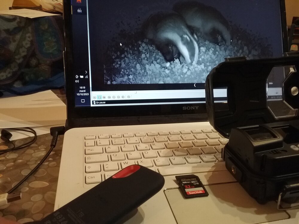 20231010_162002     70    .jpg