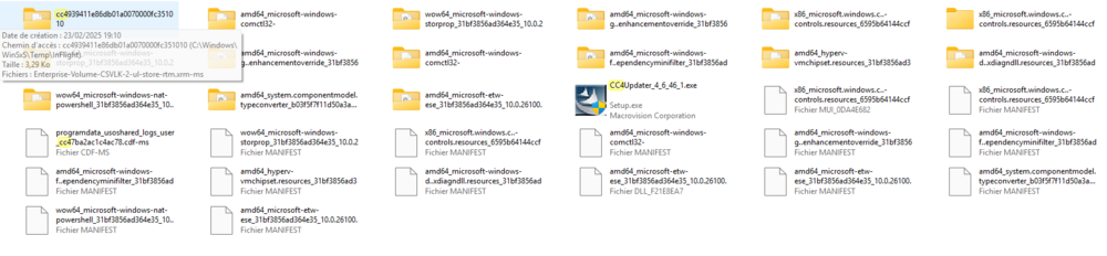 Capture d'écran 2025-02-25 101330.png